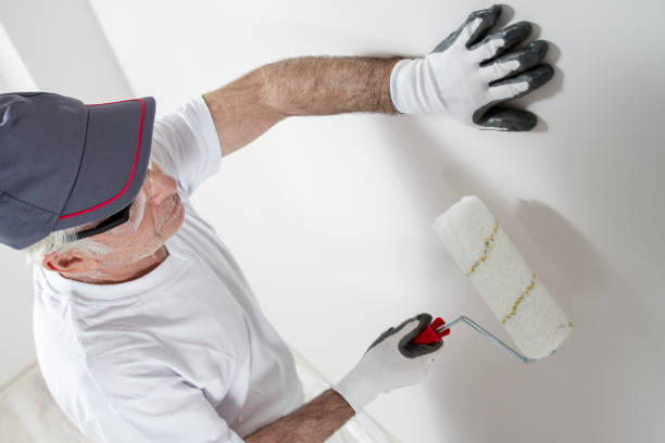 Best Wallpaper Removal and Painting  in Enochville, NC