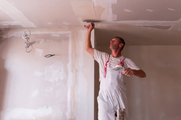 Trusted Enochville, NC Dry wall and painting Experts