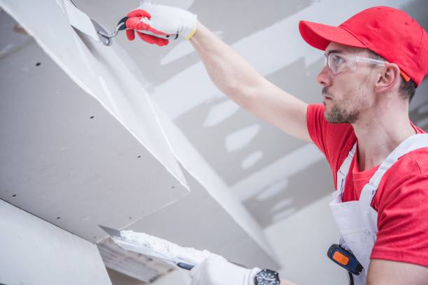 Best Ceiling Drywall Installation  in Enochville, NC